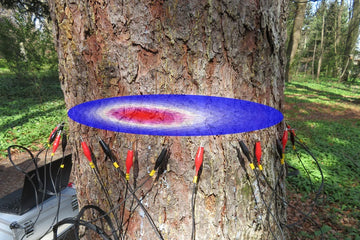 ArborElectro Tree Impedance Tomograph