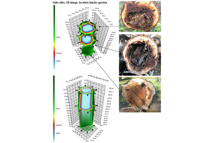 ArborSonic 3D Acoustic Tomograph