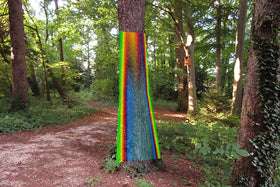 ArborSonic 3D | Acoustic Tomograph for Tree Trunk Decay Analysis