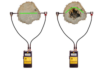 Tree Growth Microsend Timer