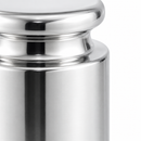 Representative polished stainless steel reference weight design detail
